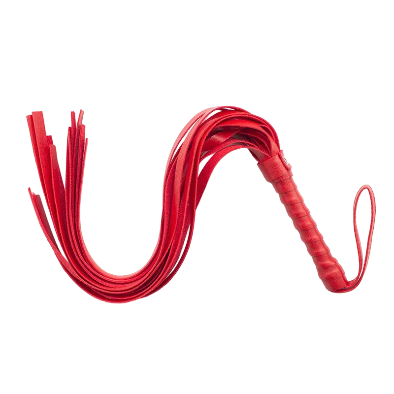 Látigo del Placer & Dolor